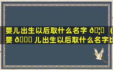 婴儿出生以后取什么名字 🦊 （婴 🐒 儿出生以后取什么名字比较好）